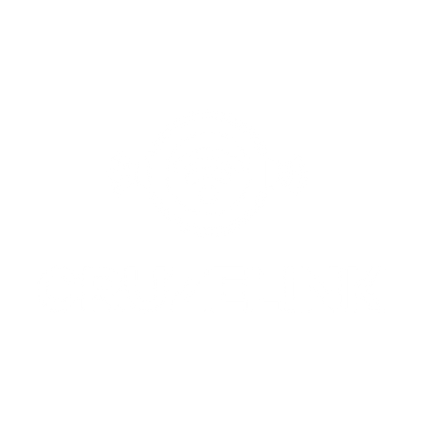 CruzeLink